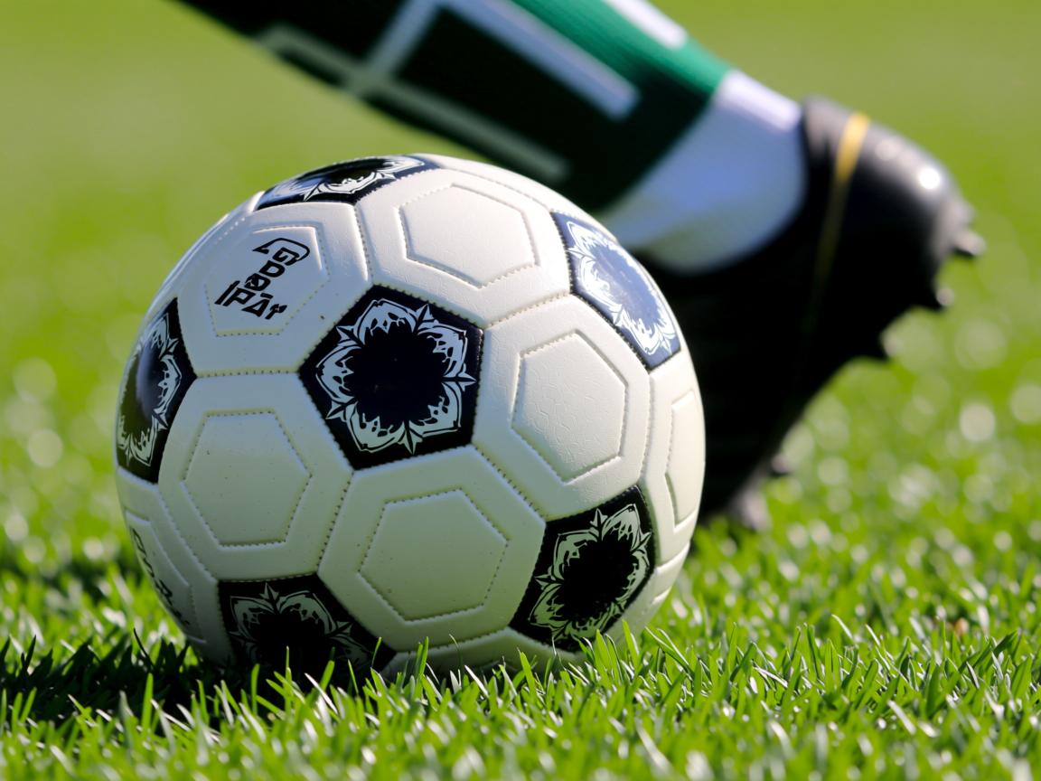 开云体育app注册-Chinese Taipei战术解析:用创新打法突破乒乓极限,中国台北男子团体乒乓球 第2张