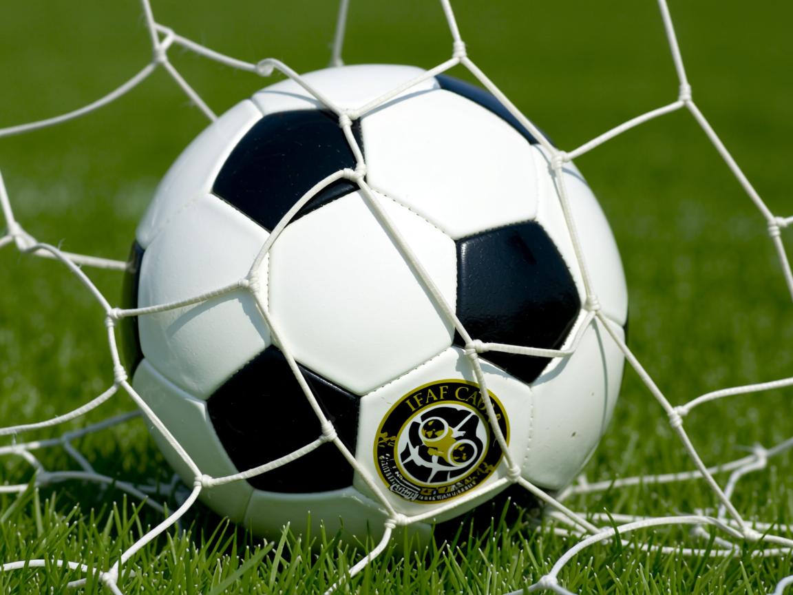 开云体育官网在线-士柏亚新援适应良好，展现出潜力  第3张