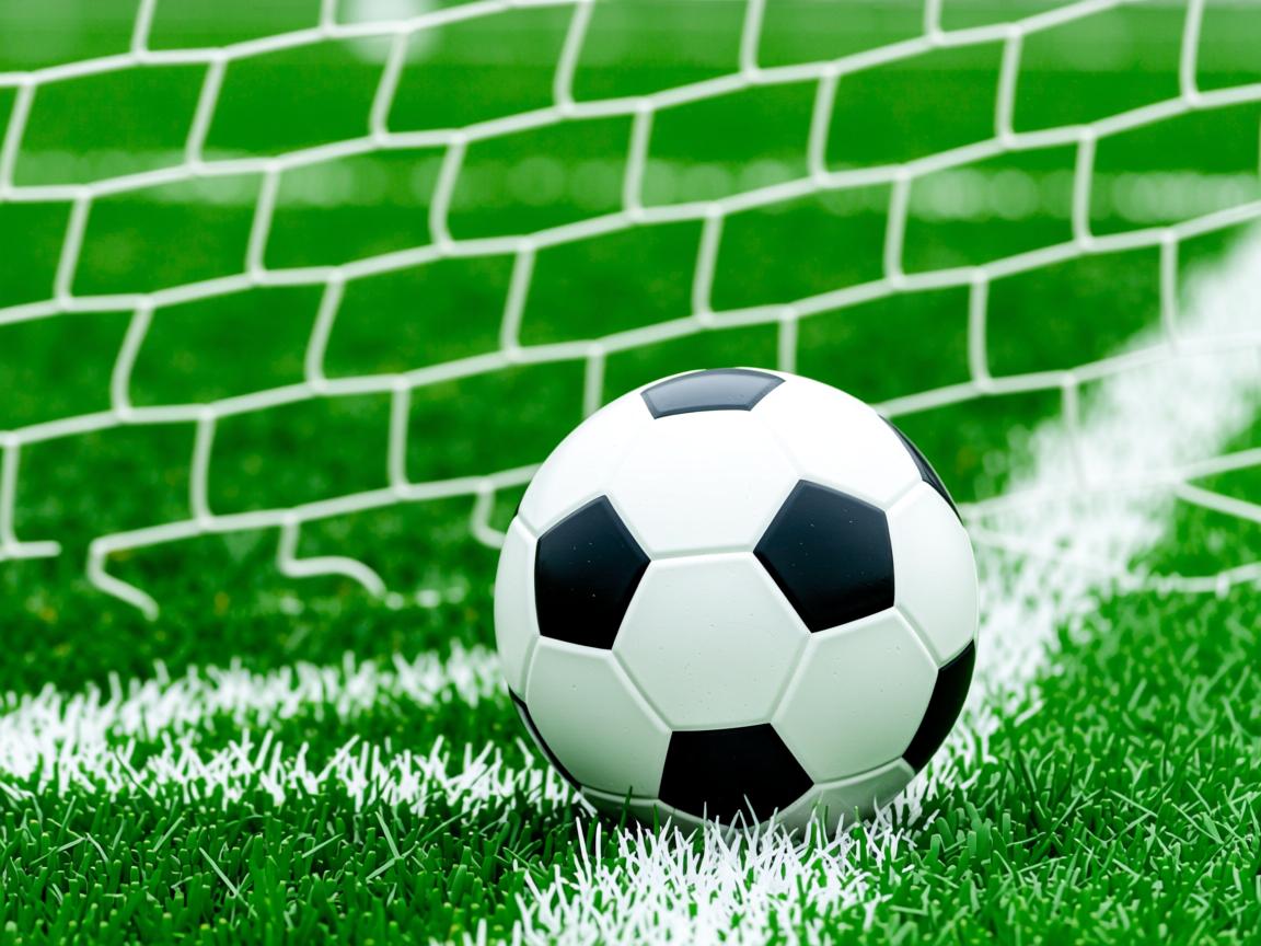 开云体育在线登入-法国女篮力克塞尔维亚，斩获季军  第2张