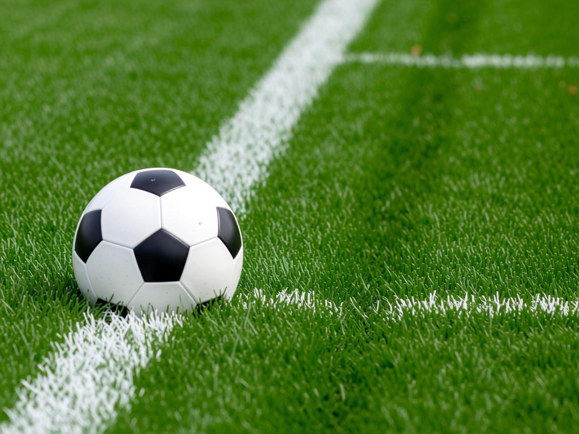 开云体育app官网-俱乐部青训与职业联赛衔接不畅，青训俱乐部球员合同完整版  第3张