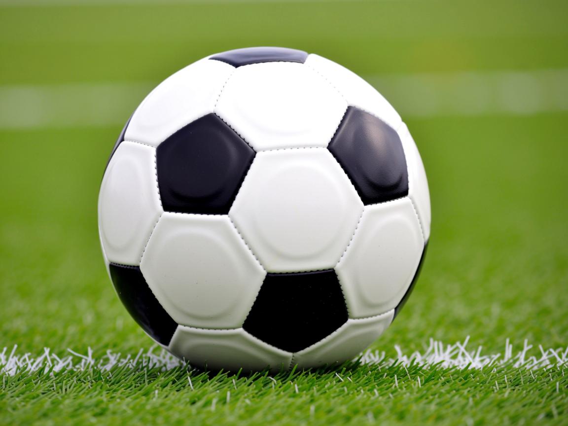 开云官网-杨瀚森夏季表现稳定备受教练肯定，杨瀚儒简介