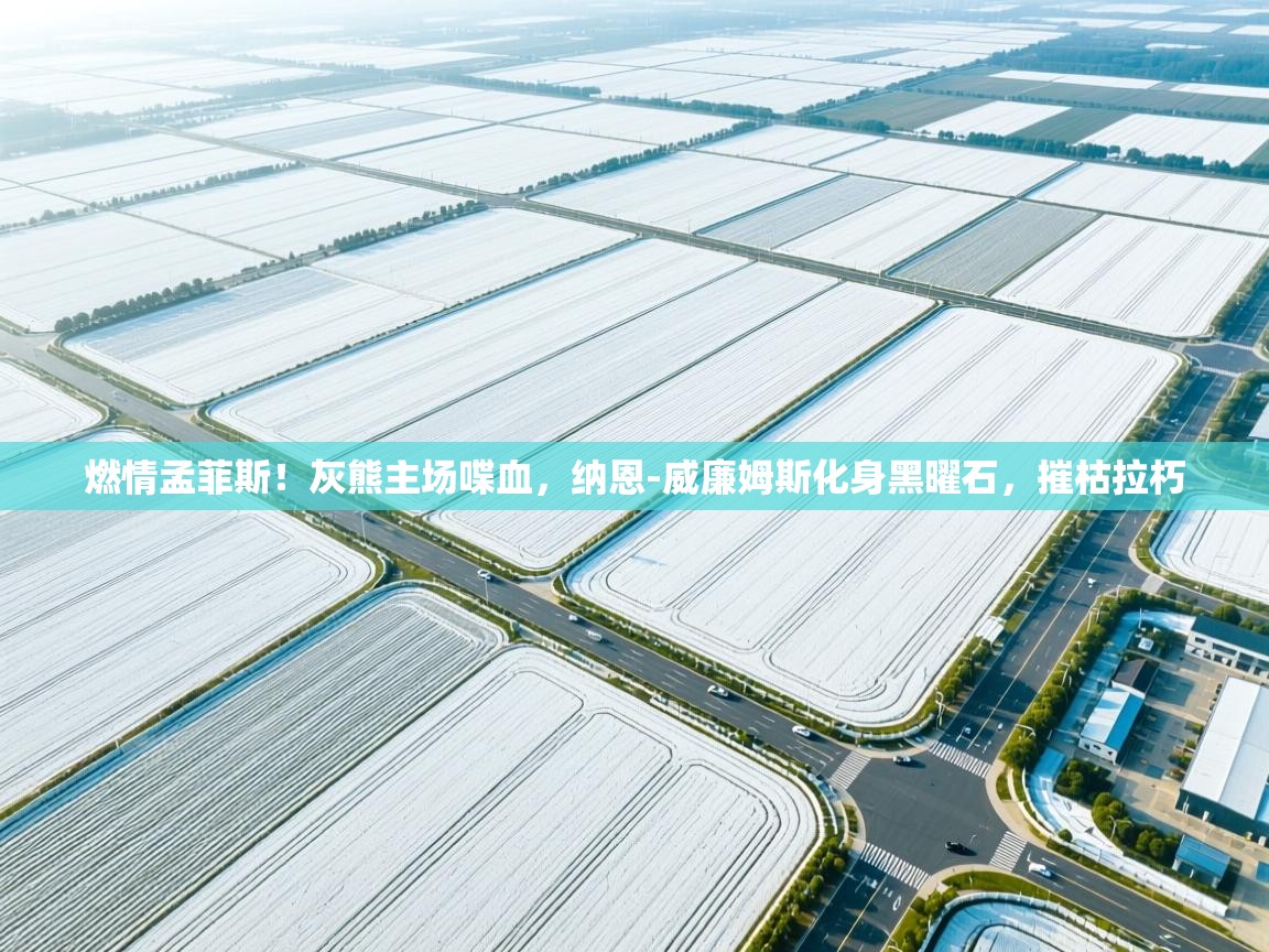 燃情孟菲斯！灰熊主场喋血，纳恩-威廉姆斯化身黑曜石，摧枯拉朽  第1张