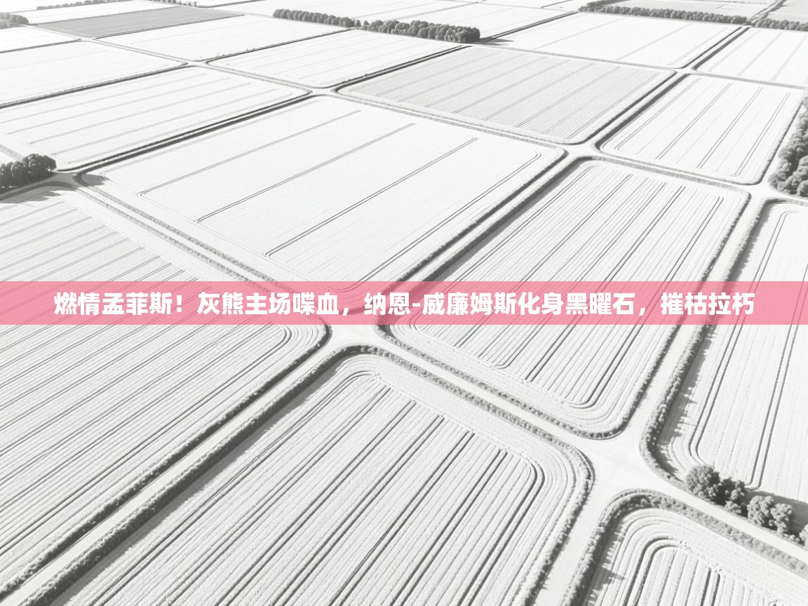 燃情孟菲斯！灰熊主场喋血，纳恩-威廉姆斯化身黑曜石，摧枯拉朽  第2张